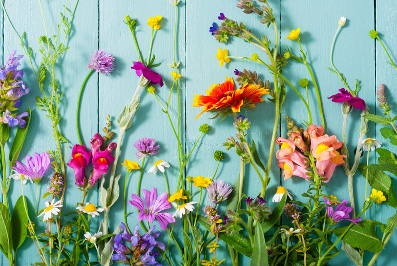 Flowers background